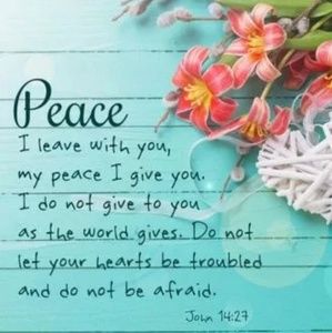 Meet your Posher, Hyesun